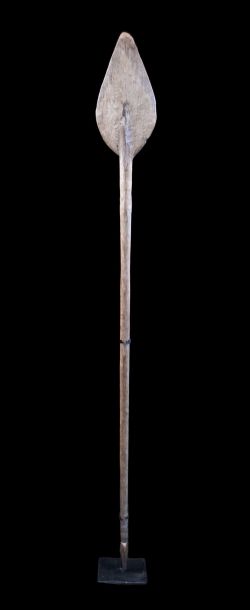 Pagaie du Spik / Sepik river paddle