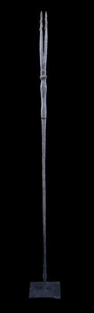 Sagaie / Fish spear