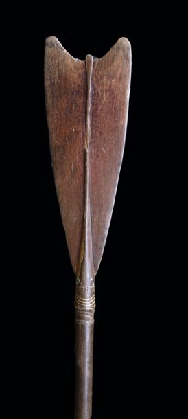 Pagaie perche / Sepik paddle