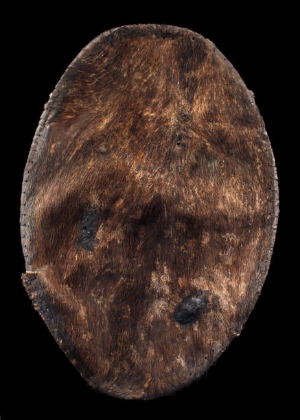 Bouclier / War shield